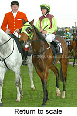 Return to scale (16096 bytes)