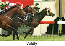 Wildly (19327 bytes)