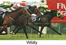 Wildly (19327 bytes)