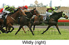 Wildly (19327 bytes)