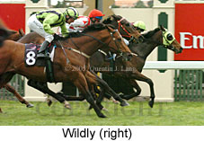 Wildly (19327 bytes)