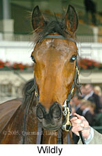 Wildly (19327 bytes)