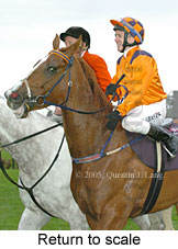 Return to scale (16096 bytes)