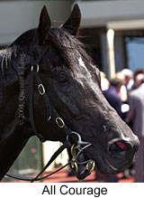 r1allcourage2.jpg (11720 bytes)