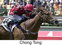 r2chongtong.jpg (16161 bytes)