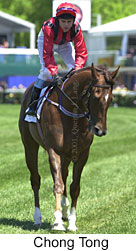 r2chongtong2.jpg (14863 bytes)