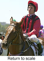 r2rtosc.jpg (11639 bytes)