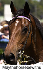 r3maythehorsebewithu2.jpg (12057 bytes)