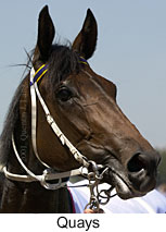 r5quays3.jpg (10547 bytes)