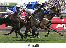 r6amalfi.jpg (19678 bytes)