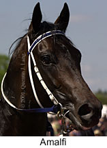 r6amalfi3.jpg (10137 bytes)