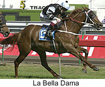 r7labelladama.jpg (17135 bytes)