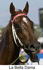 r7labelladama2.jpg (12050 bytes)