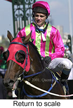 r8rtosc.jpg (14639 bytes)