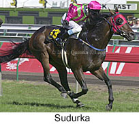 r8sudurka.jpg (17200 bytes)