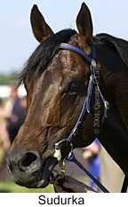 r8sudurka2.jpg (11923 bytes)