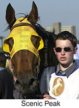 r9scenicpeak.jpg (12032 bytes)