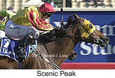 r9scenicpeak2.jpg (17511 bytes)