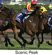 r9scenicpeak3.jpg (14295 bytes)