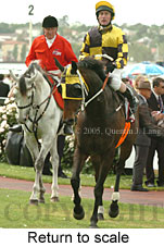 Return to scale (17769 bytes)