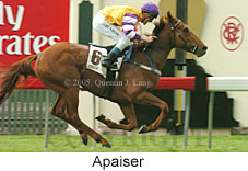 Apaiser (18507 bytes)