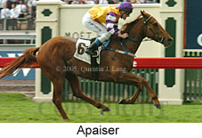 Apaiser (18507 bytes)