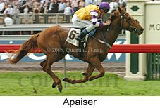 Apaiser (18507 bytes)