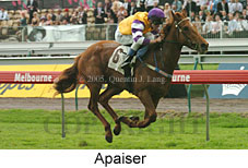 Apaiser (18507 bytes)