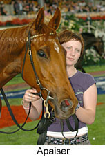 Apaiser (18507 bytes)