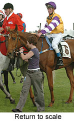 Return to scale (17769 bytes)