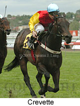 Crevette (18507 bytes)