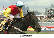 Crevette (18507 bytes)