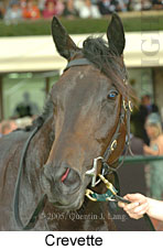 Crevette (18507 bytes)