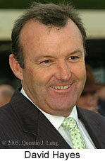 David Hayes (13260 bytes)