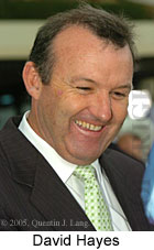 David Hayes (13260 bytes)