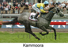 Kammoora (18507 bytes)