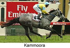 Kammoora (18507 bytes)