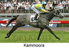 Kammoora (18507 bytes)