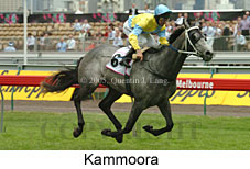 Kammoora (18507 bytes)