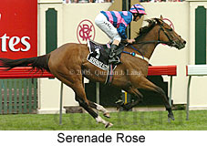 Serenade,Rose (17076 bytes)