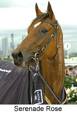 Serenade Rose (18507 bytes)