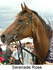 Serenade Rose (18507 bytes)