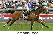 Serenade Rose (18507 bytes)