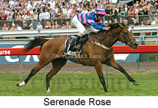 Serenade Rose (18507 bytes)
