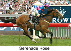 Serenade Rose (18507 bytes)