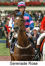 Serenade Rose (18507 bytes)