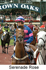 Serenade Rose (18507 bytes)