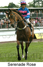 Serenade Rose (18507 bytes)