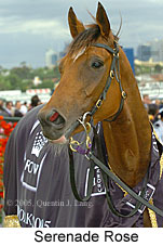 Serenade Rose (18507 bytes)