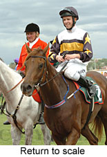 Return to scale (17769 bytes)